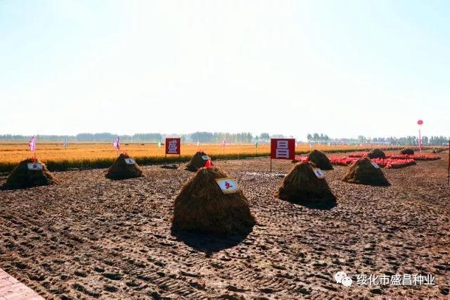 1539078205647486.jpg 微信圖片_20181009174055.jpg